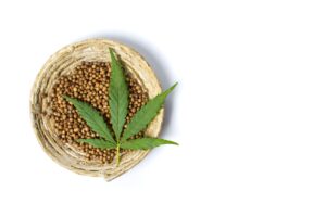 Autoflower Samen_Ganja Farmer
