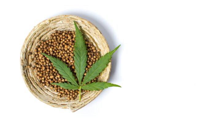 Autoflower Samen_Ganja Farmer